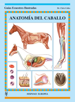 Anatoma del caballo