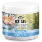 ICE GEL VEREDUS 500 ML